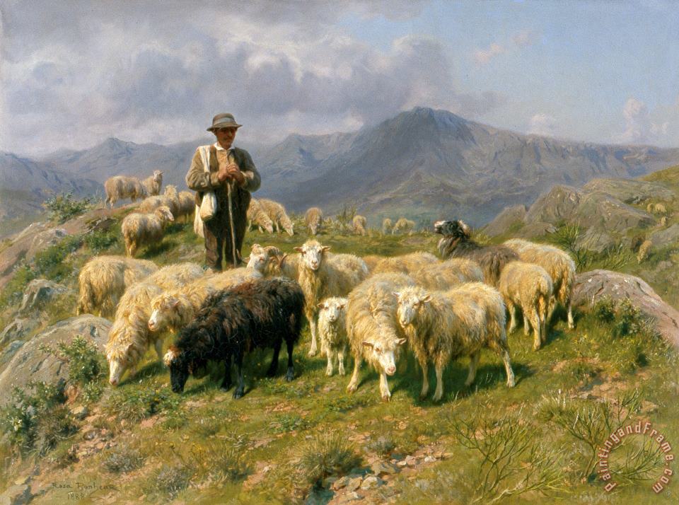 shepherd of the pyrenees 6313